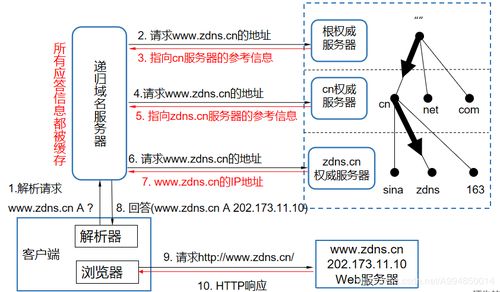 域名系統(tǒng)(DNS) 互聯(lián)網(wǎng)的“電話簿”——起源、原理與服務(wù)解析